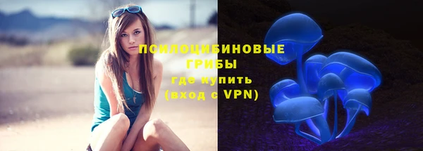 гидропоника Медвежьегорск
