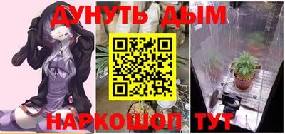 стаф Абакан