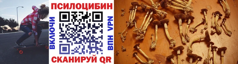 Псилоцибиновые грибы MAGIC MUSHROOMS  купить наркотик  Медногорск 