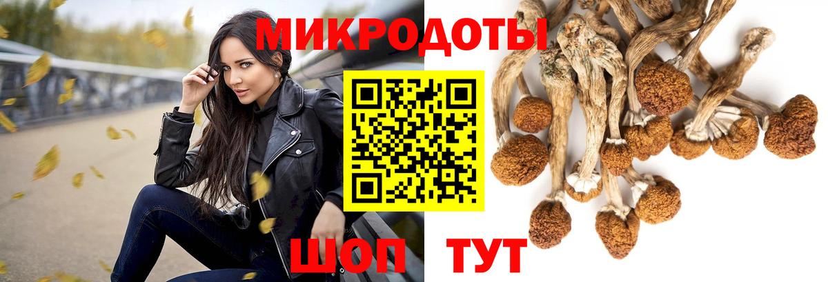Галлюциногенные грибы прущие грибы  Вход с VPN  Галлюциногенные грибы ЛСД  Медногорск 