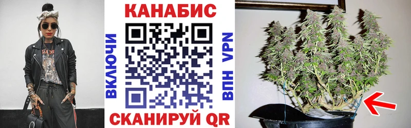 Канабис White Widow  Медногорск 